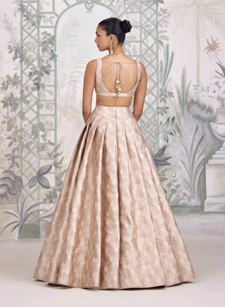 Moonlight gray Banarasi brocade pleated lehenga set