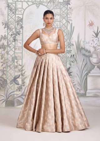Moonlight gray Banarasi brocade pleated lehenga set