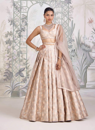 Moonlight gray Banarasi brocade pleated lehenga set