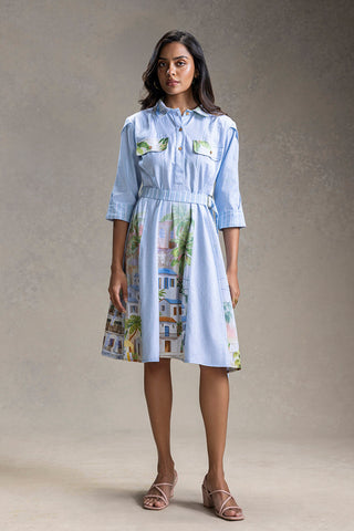 Blue Blume printed flared dress