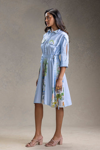 Blue Blume printed flared dress