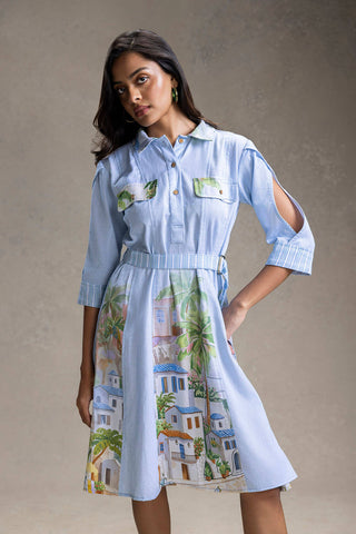 Blue Blume printed flared dress