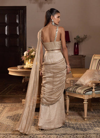 Shagun tissue gold embellished sari with blouse