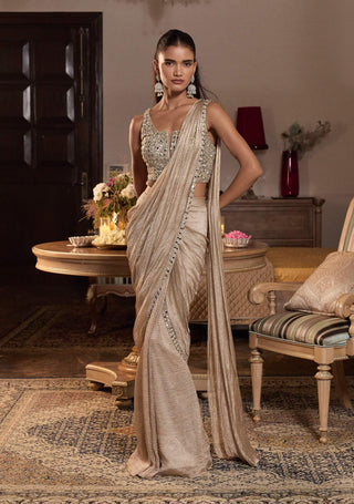 Shagun tissue gold embellished sari with blouse