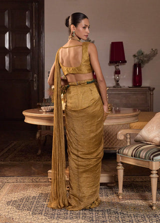 Shivani tissue dark gold embellished sari set