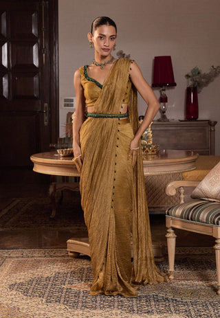 Shivani tissue dark gold embellished sari set