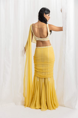 Seema Thukral-Yellow Pre-Draped Embellished Sari And Blouse-INDIASPOPUP.COM