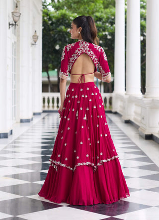 Shivika berry pink embellished lehenga set
