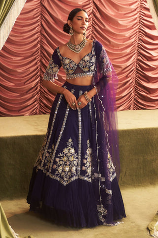 Rani purple lehenga set