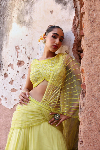 Seema Thukral-Mahi Neon Green Blouse And Circular Skirt-INDIASPOPUP.COM