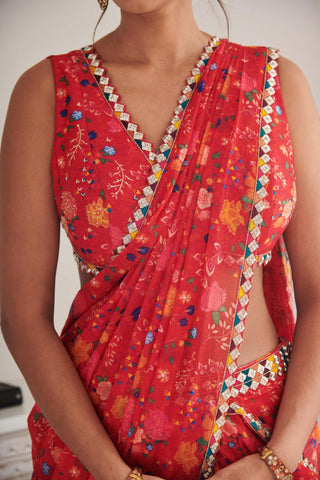 Payal red sari and blouse