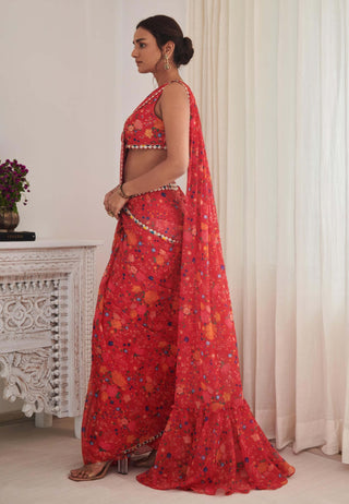 Payal red sari and blouse