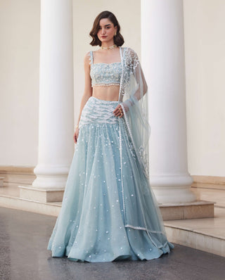 Powder blue organza skirt and bustier set