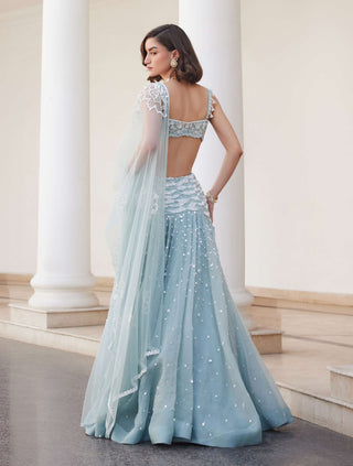 Powder blue organza skirt and bustier set