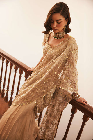 Ivory gold silk tissue pre-drape sari set