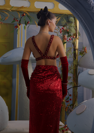 Isabela red sangria embellished bustier with skirt