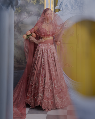 Charlotte blush pink gaji embroidered lehenga set