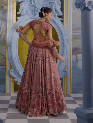Charlotte blush pink gaji embroidered lehenga set