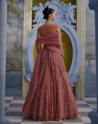 Rosella blush pink embellished lehenga set
