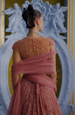 Rosella blush pink embellished lehenga set