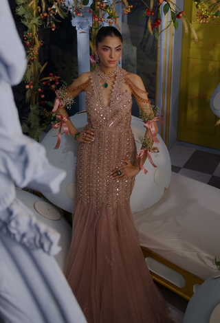 Stella champagne embellished gown