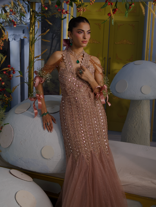Stella champagne embellished gown