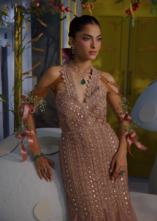 Stella champagne embellished gown