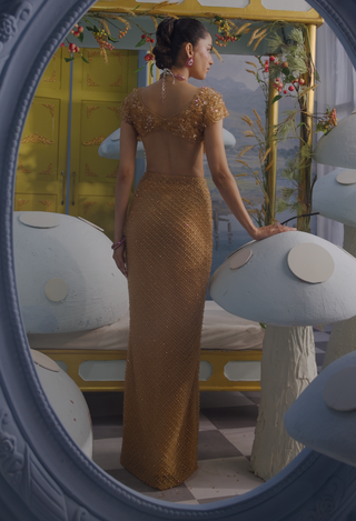 Erika beige gold embellished skirt set