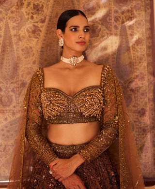 Roqa-Brown Shafaqat Lehenga Set-INDIASPOPUP.COM