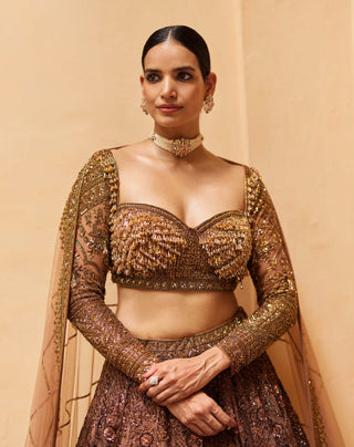 Roqa-Brown Shafaqat Lehenga Set-INDIASPOPUP.COM