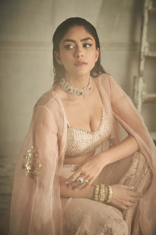 Shehla Khan-Pink Crystal Sharara And Cape Set-INDIASPOPUP.COM