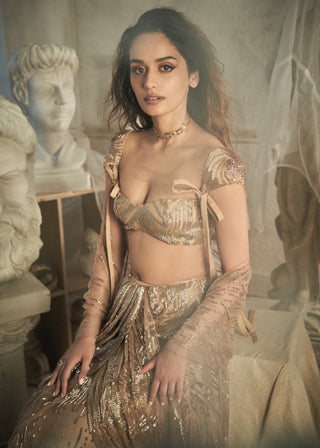 Shehla Khan-Gold Embroidered Draped Sari And Blouse-INDIASPOPUP.COM