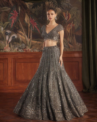 Sirius charcoal lehenga set