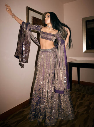 Baigani metallic lehenga set