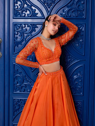Sanya Gulati-Orange Tonal Organza Skirt Set-INDIASPOPUP.COM