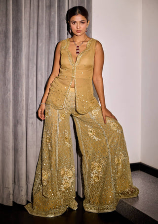 Gold embroidered pants and top