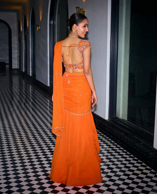 Sanya Gulati-Orange Pre-Draped Sari Set-INDIASPOPUP.COM