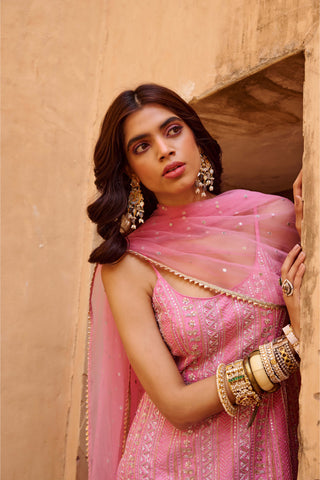 Chamee And Palak-Pink Jacquard Embroidered Sharara Set-INDIASPOPUP.COM