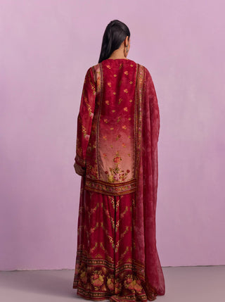 Anaisha Rose Red Sharara Set by Kalista available on Indiaspopup.com