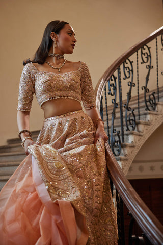 Peach mirror raw silk lehenga set