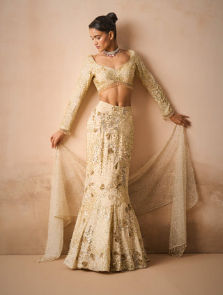 Ivory georgette fit and flare lehenga set