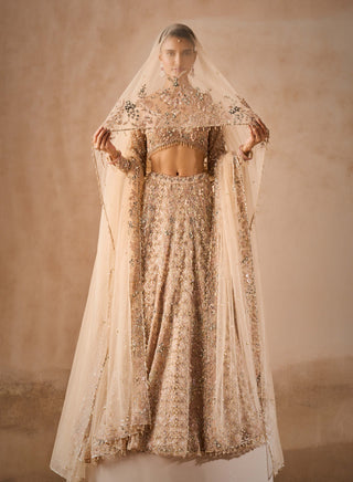 Beige nude tulle lehenga set