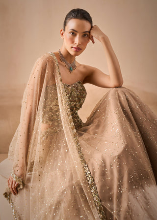 Biscuit brown lehenga and corset set