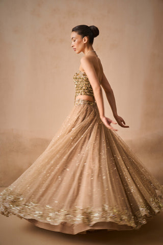 Biscuit brown lehenga and corset set