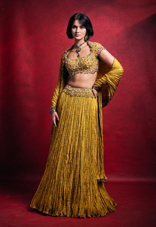 Mustard embroidered crushed lehenga set