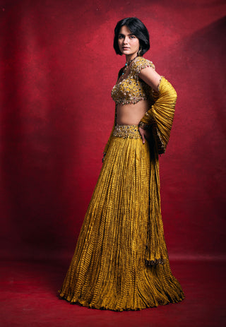 Mustard embroidered crushed lehenga set