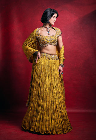 Mustard embroidered crushed lehenga set