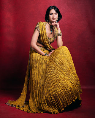 Mustard embroidered crushed lehenga set