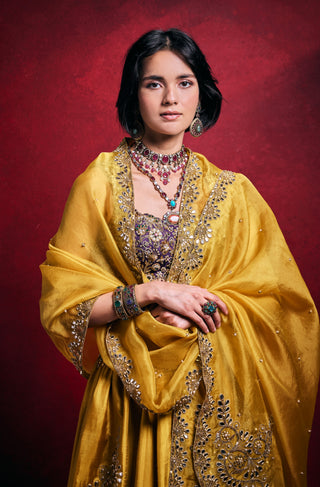 Mustard regal silk lehenga set