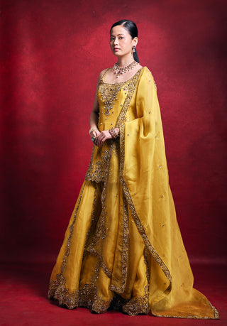 Mustard tone gharara set